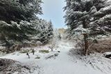 Punkt widokowy na ścieżce przyrodniczej przy zamku Kamieniec