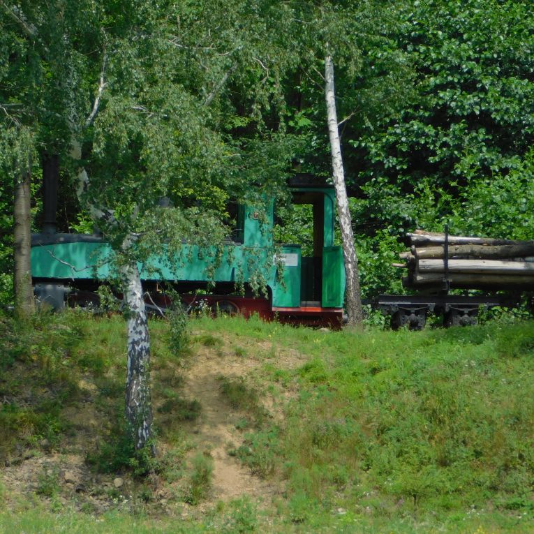 Narrow gauge locomotive