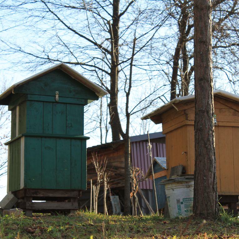 M&M Apibieszczady beekeeping farm